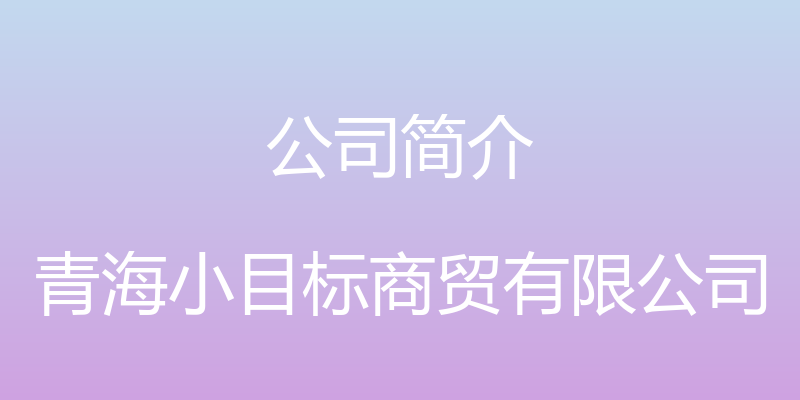 公司简介 - 青海小目标商贸有限公司